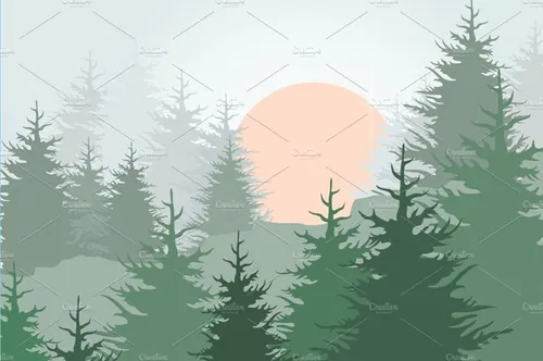 松树林矢量插图Forest4