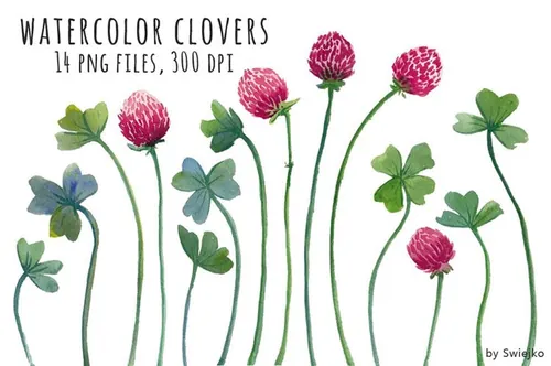 水彩花卉叶子剪贴画 Watercolor Clipart , Clover