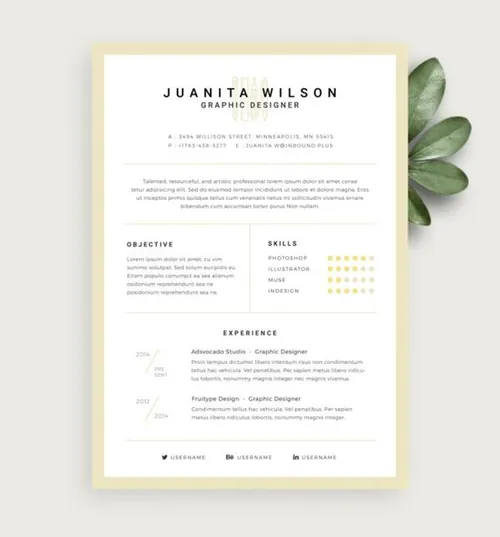 简约风简历模板下载 Clean Resume Template PSD