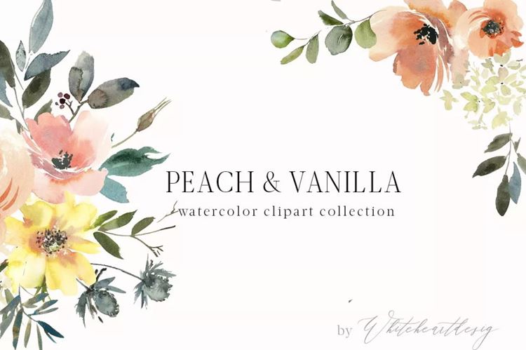 桃子和香草水彩剪贴画 Peach  Vanilla Wate