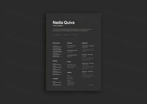 时尚专业的求职简历模板 Simple A4 Dark Resume Template
