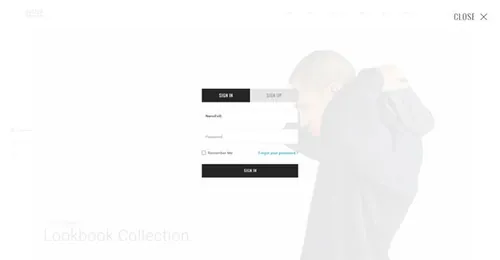 简约时尚电子商务购物类登录页PSDBetter Shop E
