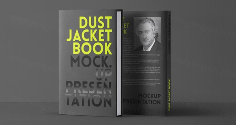 直立透视防尘套书模型PSD贴图模板Psd Dust Jacket Book Mockup
