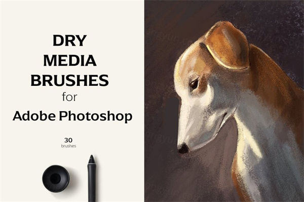 30个独特的画布颗粒混乱PS笔刷 Dry Media Brushes