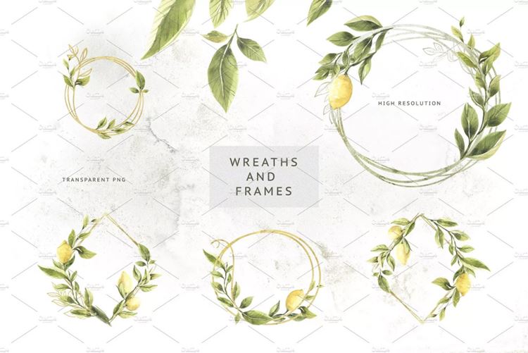 柠檬 绿色枝叶水彩插画 Lemons  Greens