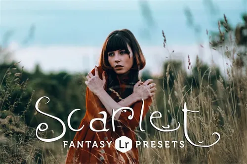 专业影楼模特摄影艺术照LR调色预设 Scarlet Fantasy L