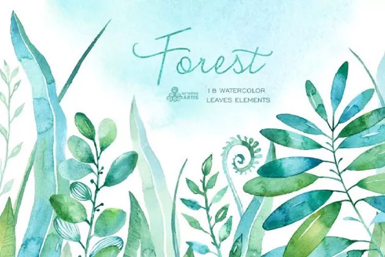 森林水彩树叶 Forest watercolor leave