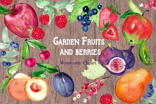 水果 浆果水彩剪贴画 Fruits  berries wat