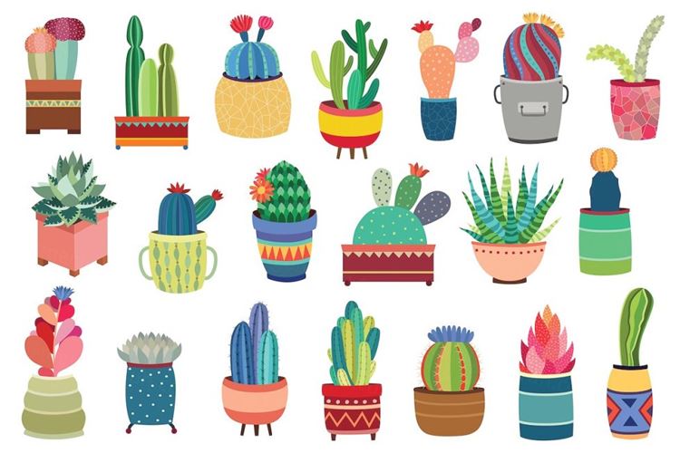 20 Succulents-amp; Cactus Vector / PNG