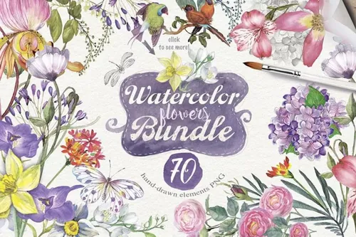 夏日花卉手绘水彩元素 70 SUMMER FLOWERS PNG