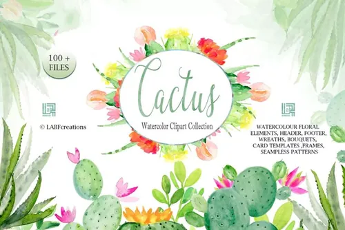 仙人掌水彩剪贴画 Cactus watercolr clip
