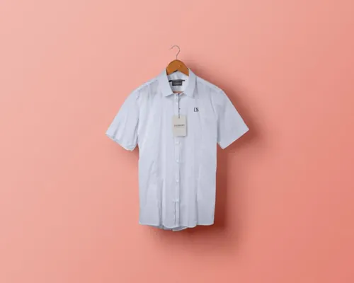 短袖衬衫贴图PSD模板Psd Short Sleeve Dress Shirt