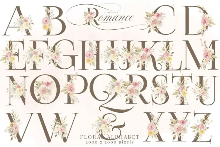 玫瑰金浪漫水彩花卉剪贴画 Rose Gold Romance