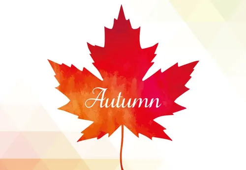 秋天的叶子枫叶红叶秋季几何元素背景矢量设计素材Autumn leaf