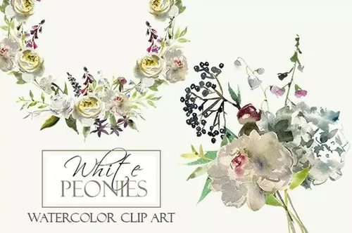 白色水彩花卉剪贴画 Watercolor White Flo
