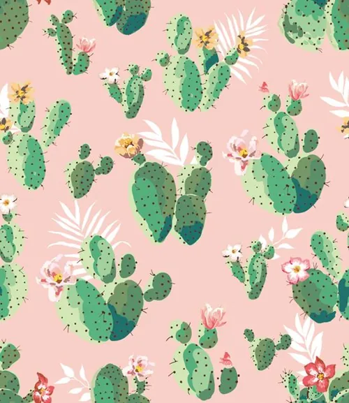 无缝可爱仙人掌印花图案背景矢量设计素材Cactus pattern background