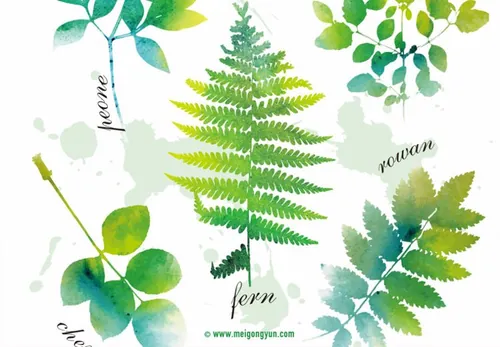 绿色叶子免抠矢量元素Green leaves