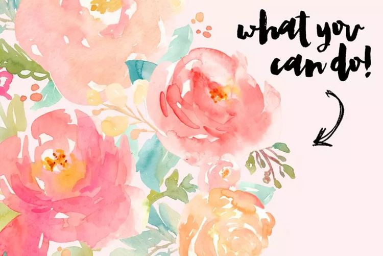 牡丹水彩剪贴画 Peonies Fanfare - Wate