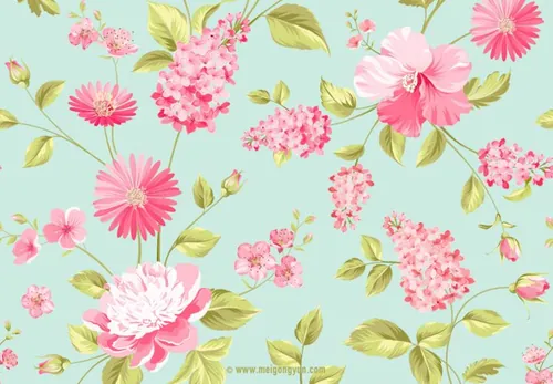 花卉鲜花矢量背景Flower vectorial backg