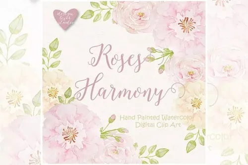 腮红玫瑰水彩插画剪素材 Watercolor Rose Bl