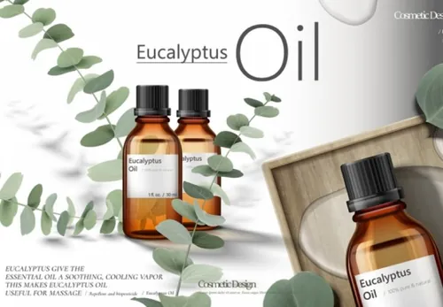 Ai矢量绿色化妆护肤品精华桉树精油海报设计素材Cosmetic vector Poster