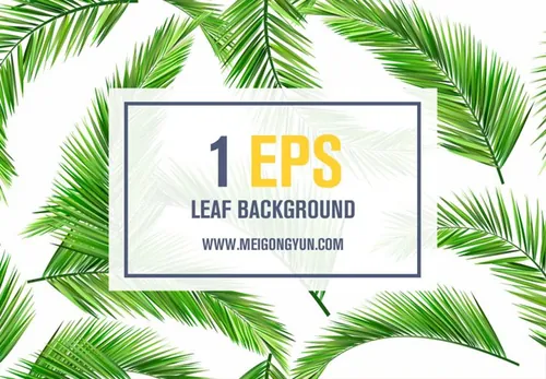 椰子树叶免抠元素Coconut Leaf