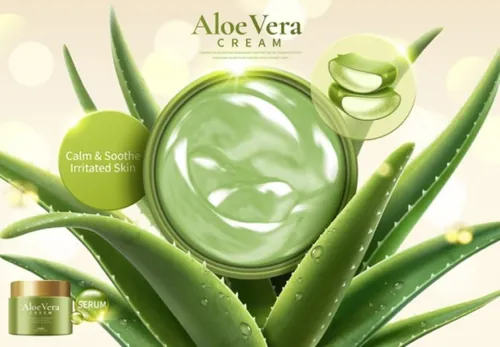 Ai矢量绿色芦荟胶保湿化妆护肤品面霜海报设计素材Cosmetic vector Poster