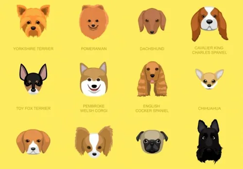 可爱卡通狗狗头像图标矢量设计素材Dog Faces Icon Cartoon