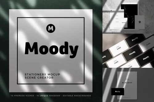 真实拍摄的阴影名片品牌样机贴图展示模版 Moody Stationery Mockups
