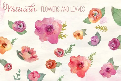 手绘水彩花卉设计素材Watercolor Flowers