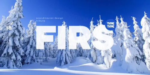 北欧极简风无衬线英文字体家族 TypeType - TT Firs Font Family