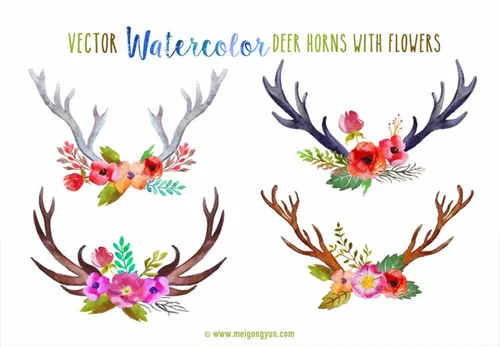 水彩鹿角鲜花矢量元素Watercolor antler fl