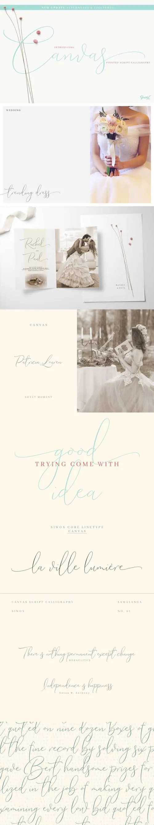 飘逸优雅手写字体Canvas Pointed Script