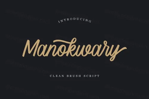 干净优雅的女性品牌手写脚本英文字体 Manokwary