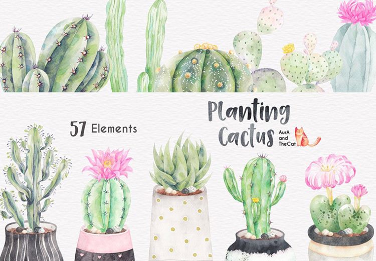 仙人掌绿植鲜花花卉花瓶PNG免抠设计素材