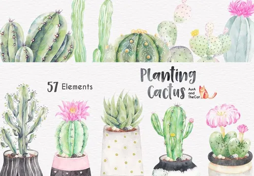 仙人掌绿植鲜花花卉花瓶PNG免抠设计素材