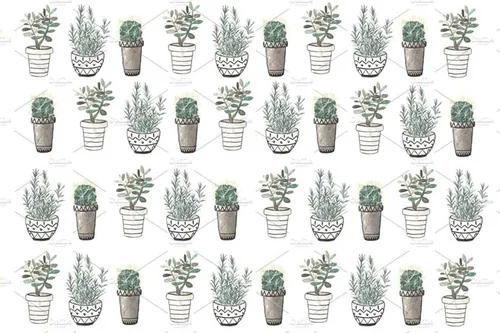 手绘水彩植物盆栽设计素材Cactus , rosemary and crassula