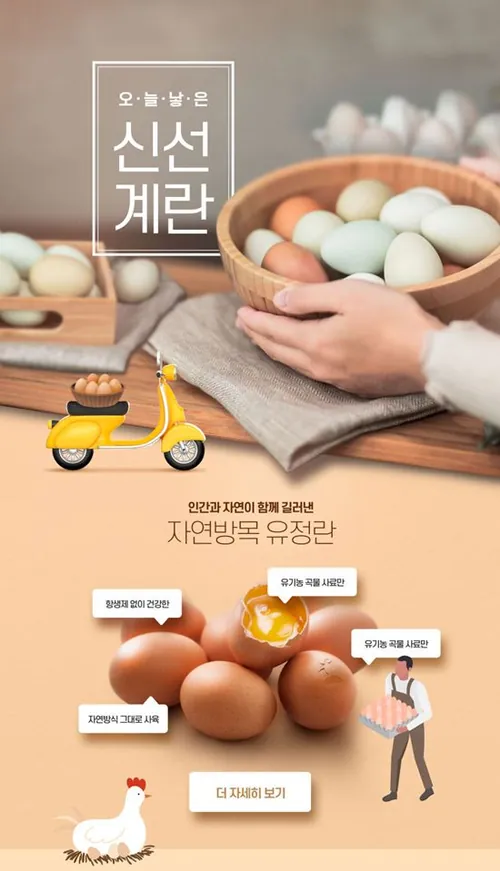 韩式纯良的鸡蛋新年促销活动