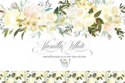 白色香草水彩花卉剪贴画 Vanilla White Wate