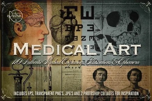 解刨医学插图素材 Medical Art  110 EPS