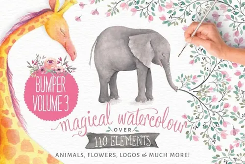 水彩花卉动物 Watercolor animals amp;