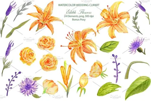 婚礼水彩橙色花卉 Wedding Orange Edible