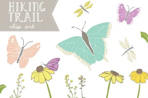蝴蝶插画素材 Hiking Trail Butterfly