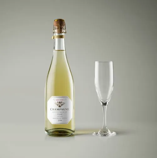 透明的玻璃psd香槟酒瓶样机 Psd Champagne Bottle Mockup Vol2