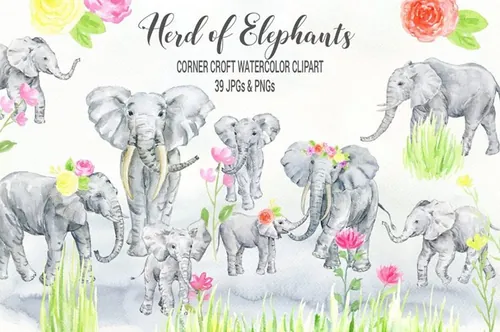 水彩群的大象 Watercolor Herd of Elep