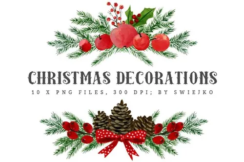 圣诞节花卉插画图形 Christmas Clip art ,
