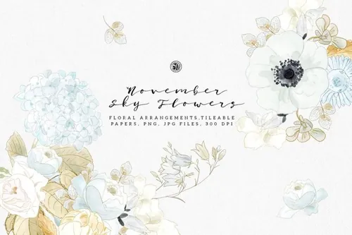 11月花卉素材插画 November Sky Flowers