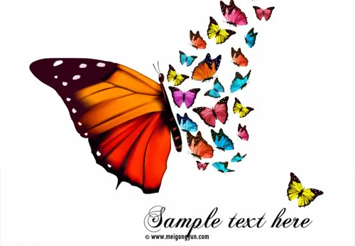 蝴蝶元素矢量素材Butterfly element vect