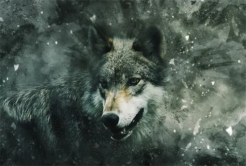 战争风暴爆炸粉末场景特效PS动作素材 Cortisol Photosh