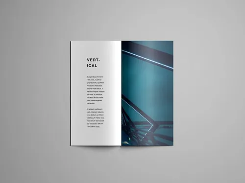 完美的折页册子设计展示模型 Vertical Brochure Mockup